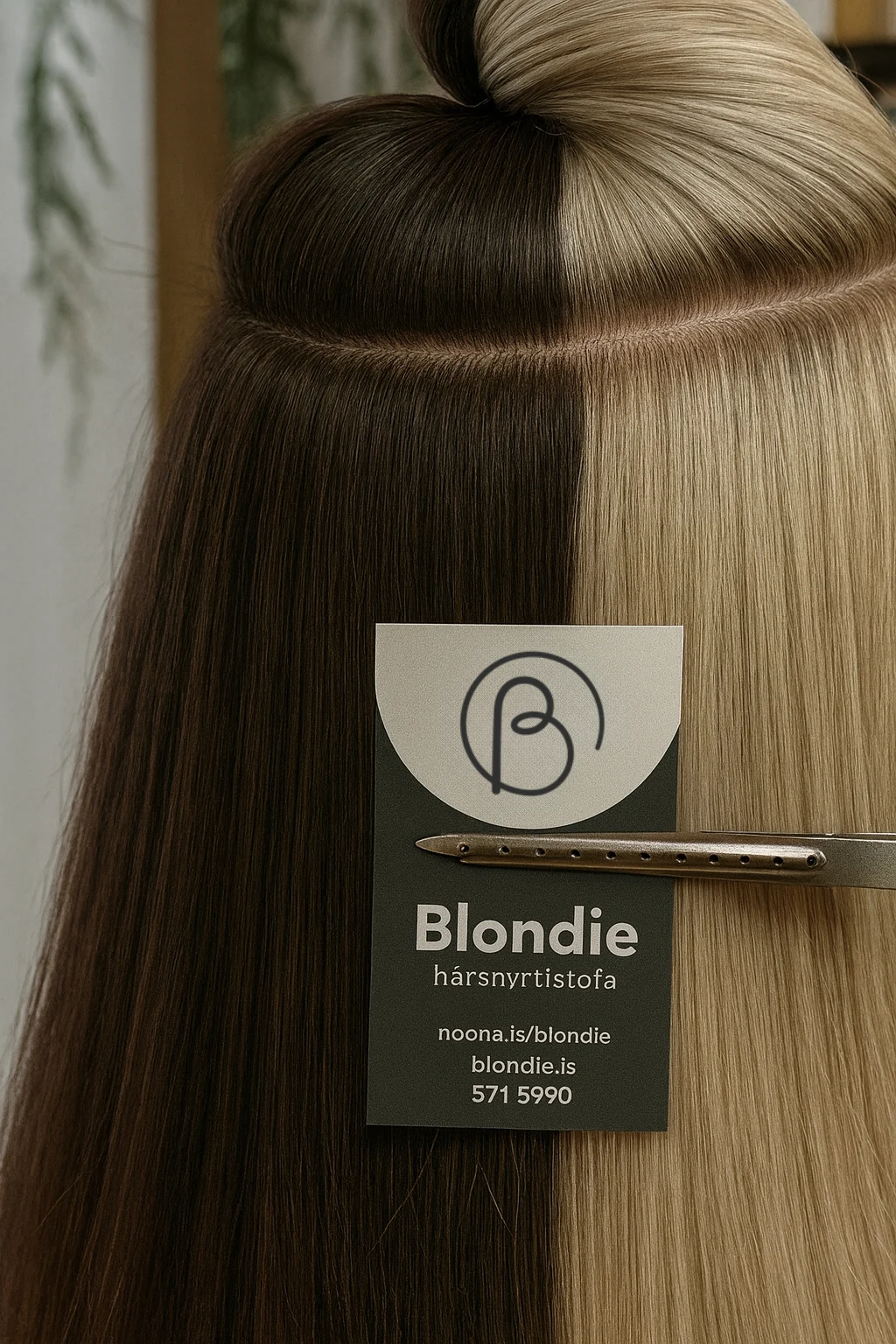 Dökkir og ljósir hárlitir með Blondie-korti og hárklemmu